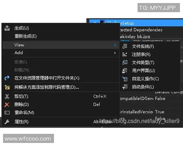 Windows2008与VisualStudio2017的性能对比及应用场景分析 Windows2008与VisualStudio2017的性能对比及应用场景分析
