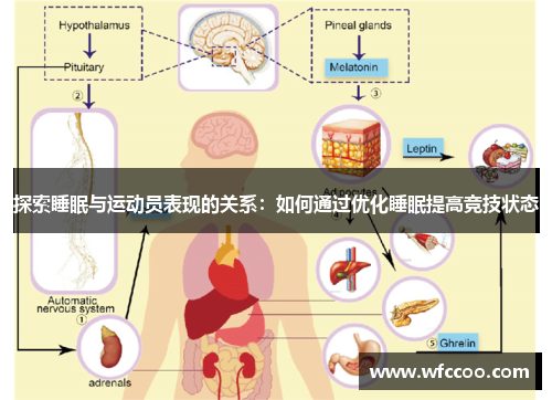 探索睡眠与运动员表现的关系：如何通过优化睡眠提高竞技状态