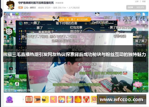 熊猫三毛直播热潮引发网友热议探索背后成功秘诀与粉丝互动的独特魅力