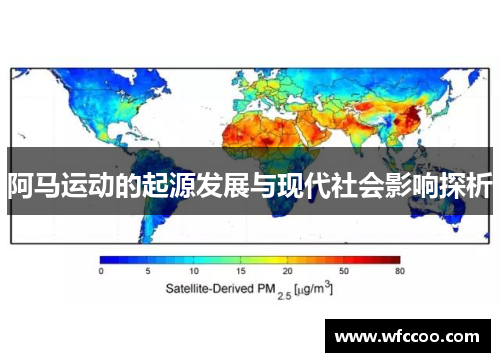 阿马运动的起源发展与现代社会影响探析